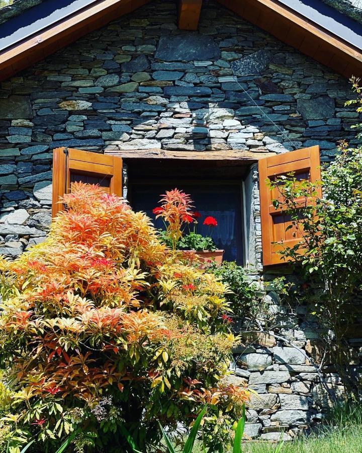 Corte Di Cavne' Chalet Miazzina